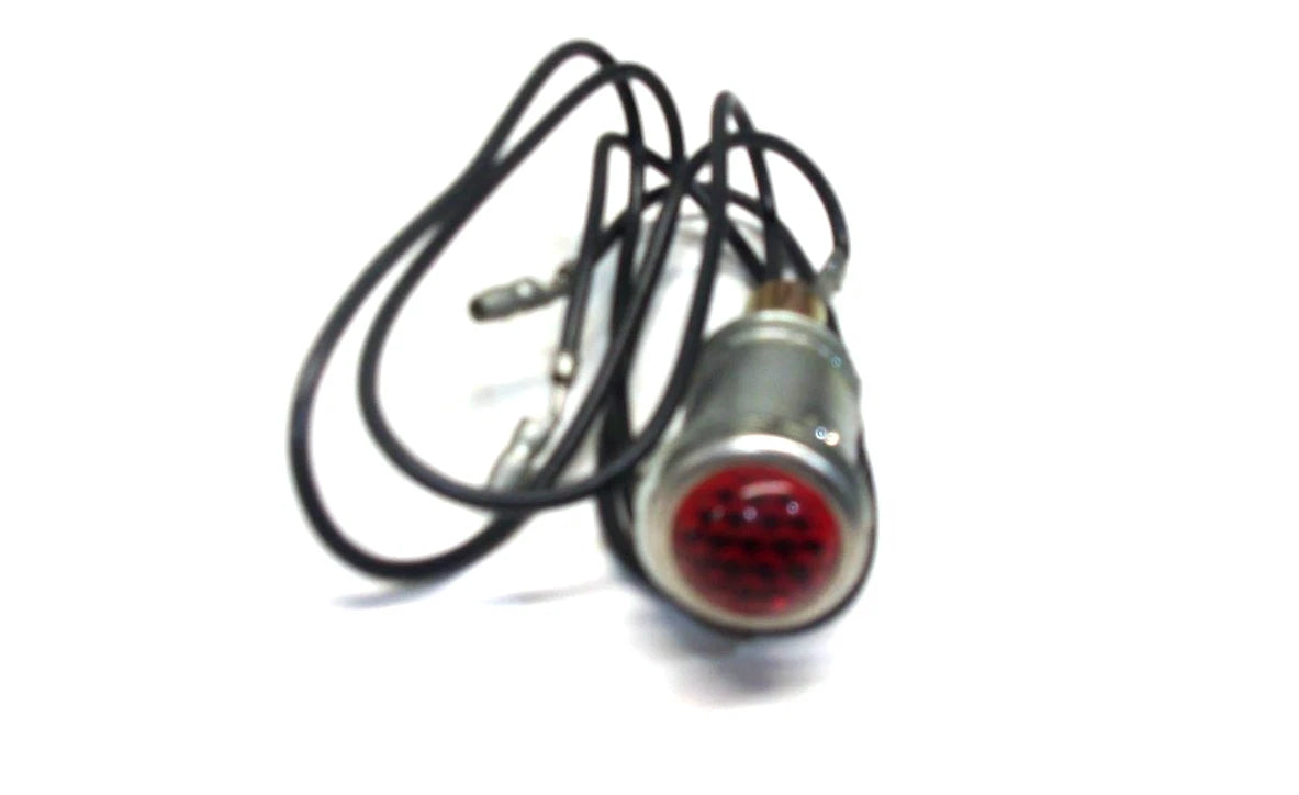 Pilot Light Assembly for International (180217R91)