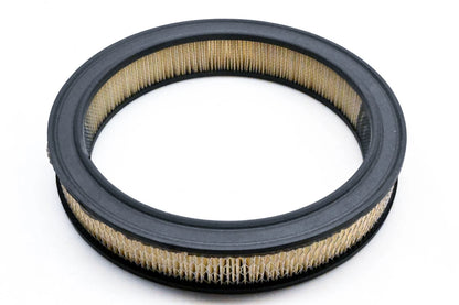 Hastings AF310 Air Filter for