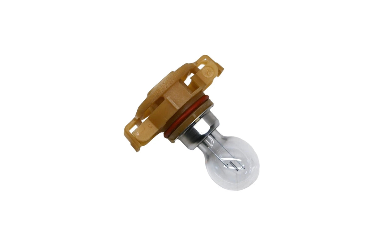 Bulb and Socket Assembly for Ford (8L8Z-13N021-A)