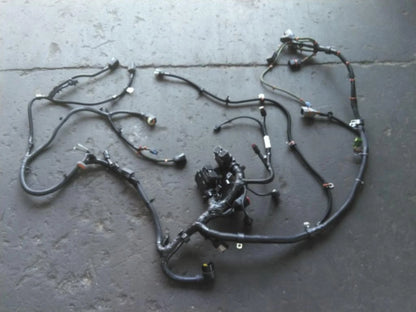 Engine Wiring Harness for Cummins ISX15 (2007–2019) Replaces 3686750