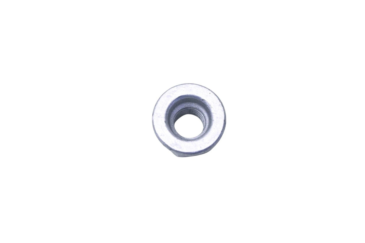 Adjusting Screw Nut for Ford (N802073-S441)
