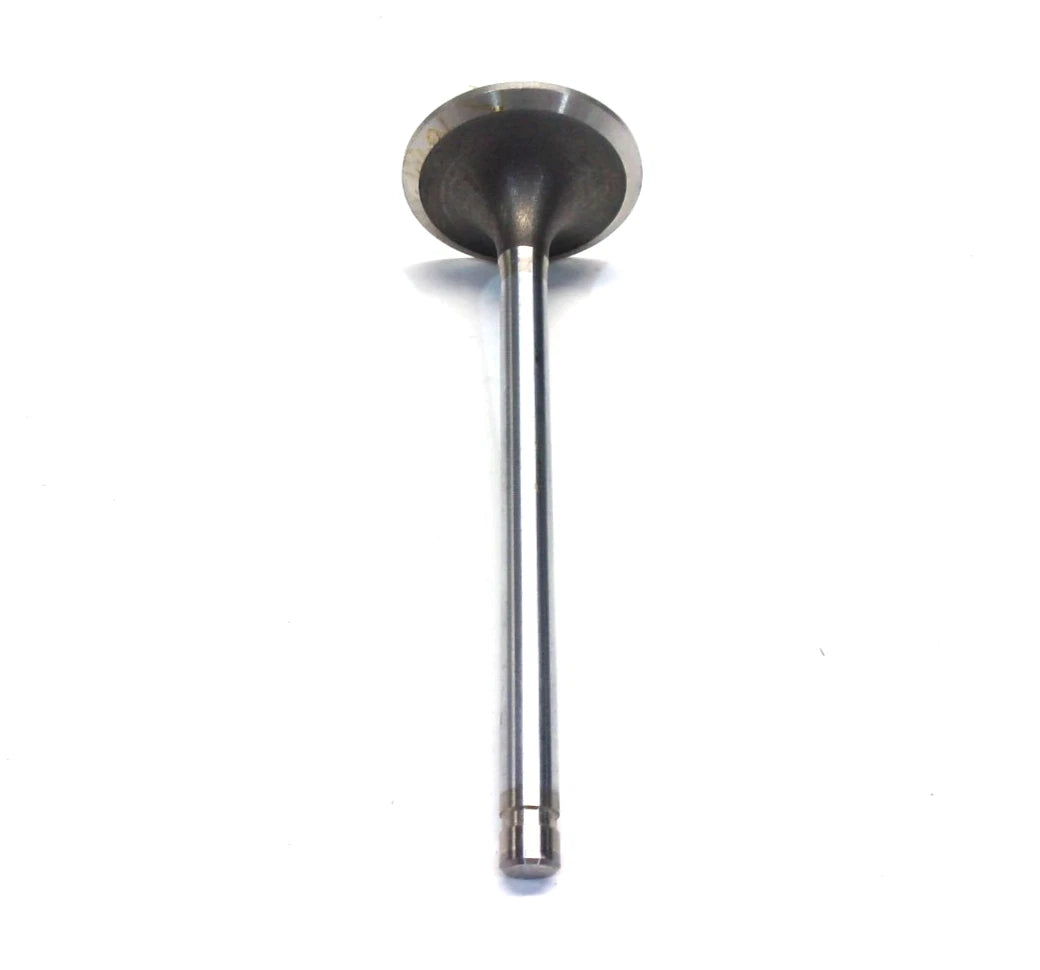 Set of 2 Intake Valves for International (675046C4)
