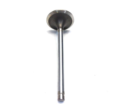 Set of 2 Intake Valves for International (675046C4)