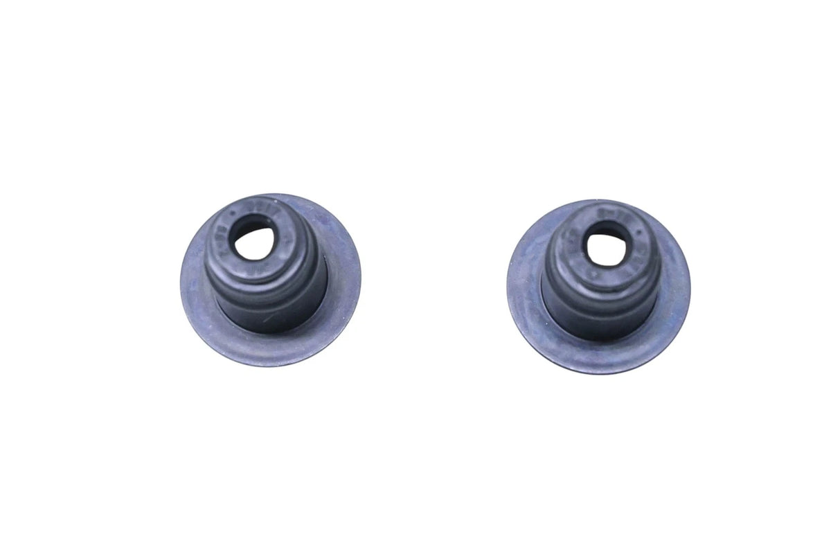 2X Valve Stem Seals for Ford (DC2Z-6571-A)