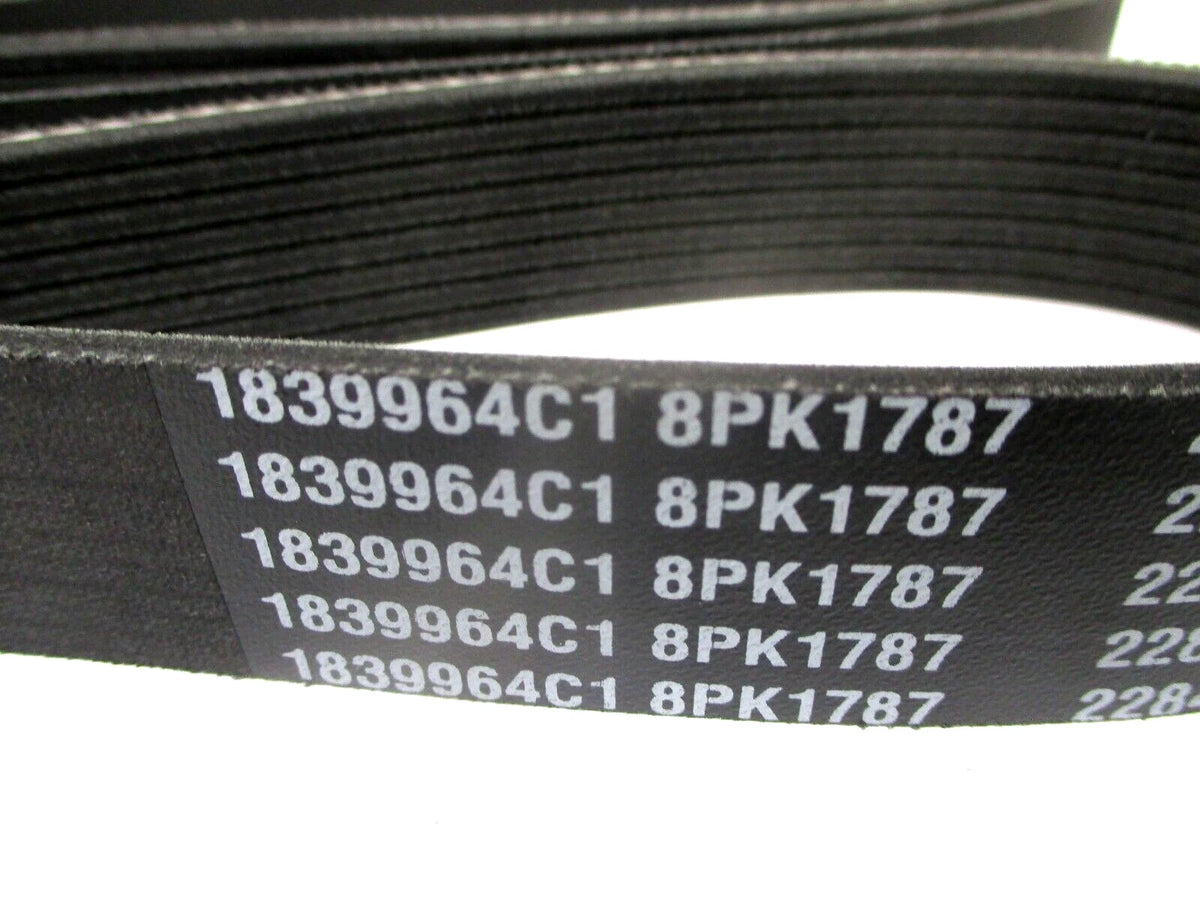 Serpentine V-Belt 8PK1787 for Fleetrite (1839964C1)