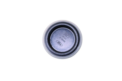 OEM Plug for Ford (W702805-S300)