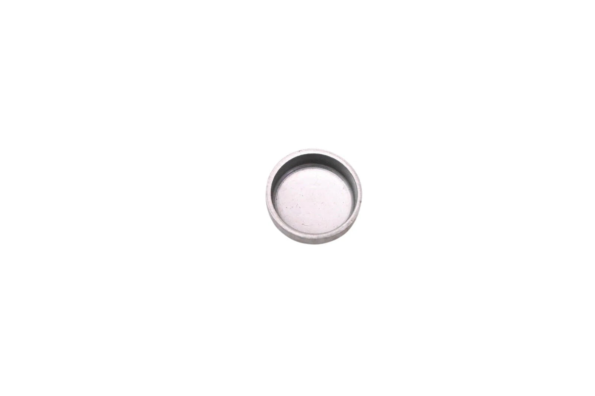 OEM Plug for Ford (E8TZ-6026-A)