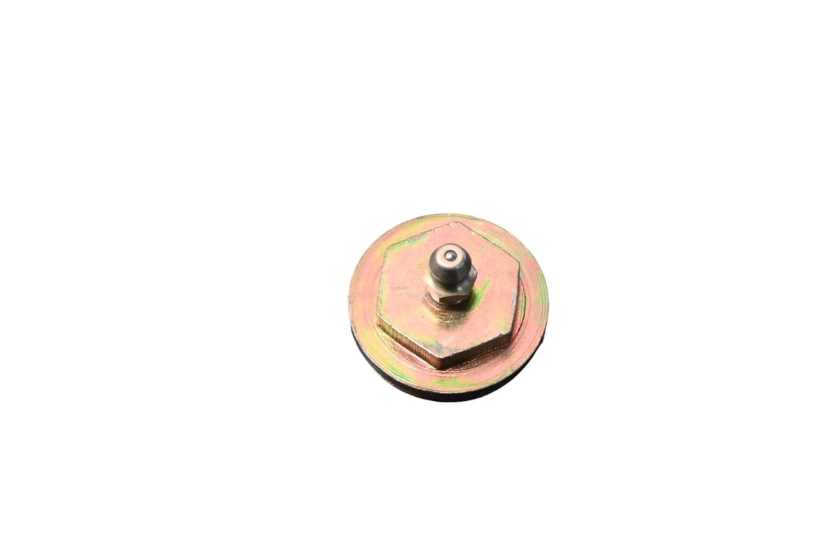 Spindle Plug Assembly for Ford (C7TZ-3B167-B)