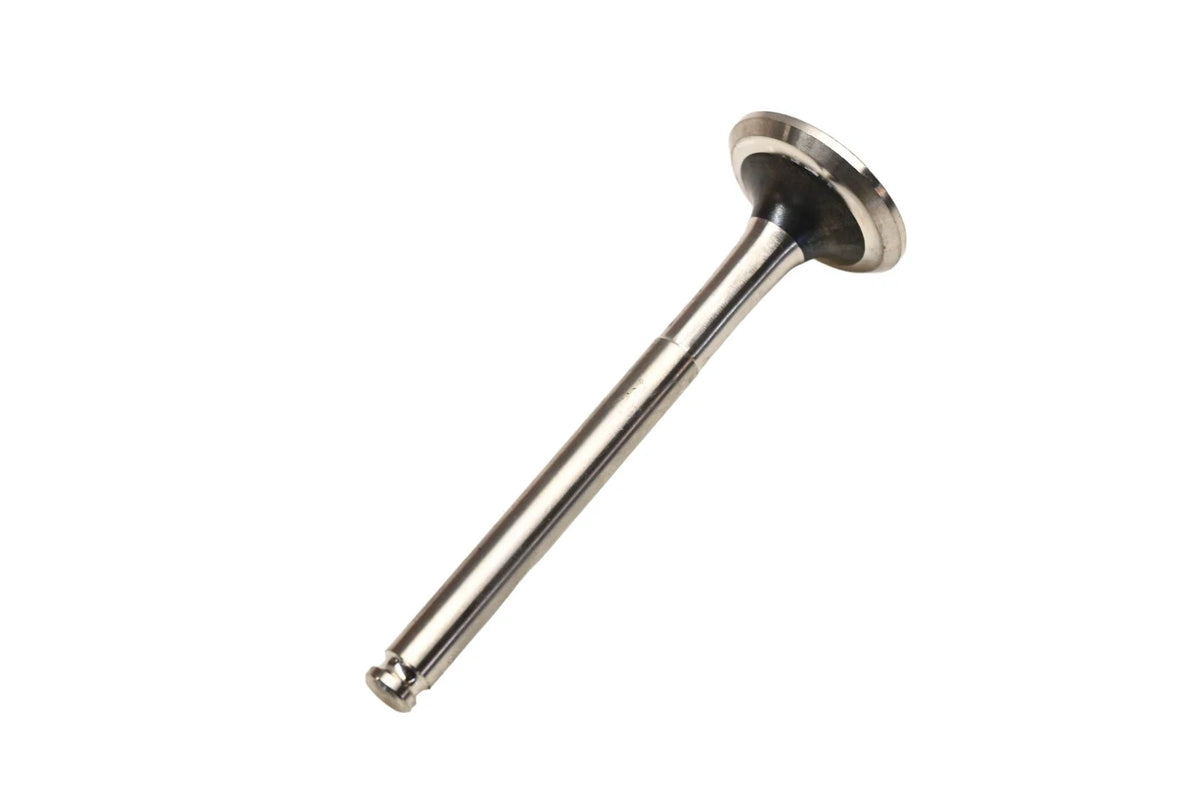 Exhaust Valve for Beck/Arnley (NOS)