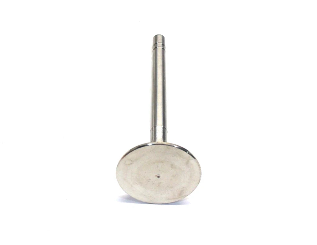 Intake Valve for International (151443R4)