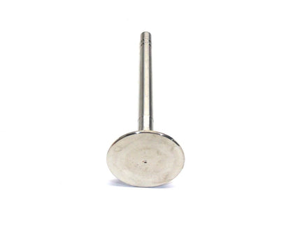 Intake Valve for International (151443R4)