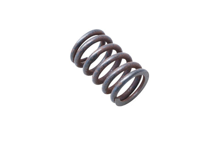 OEM Engine Valve Spring for Ford (DOOZ-6513-B)