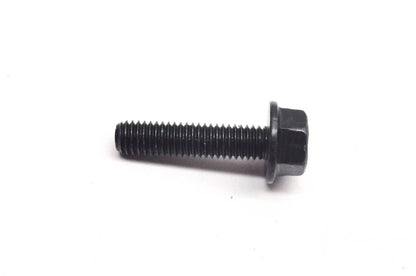 Hex Flange Screw M6x25 for Aftermarket (250000787)