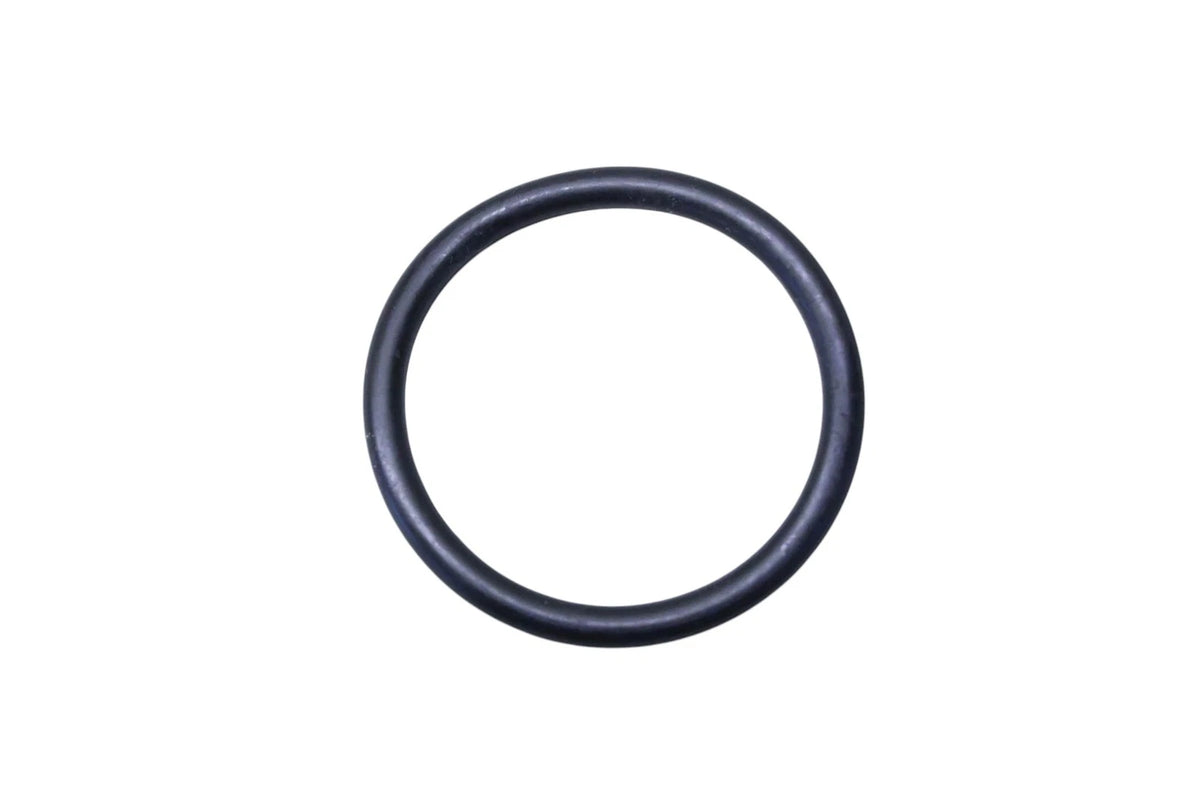 Engine Coolant Thermostat Housing Gasket for Ford (W707299-S300)
