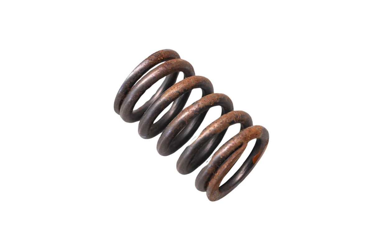 OEM Valve Spring for Ford (E9TZ-6513-A)