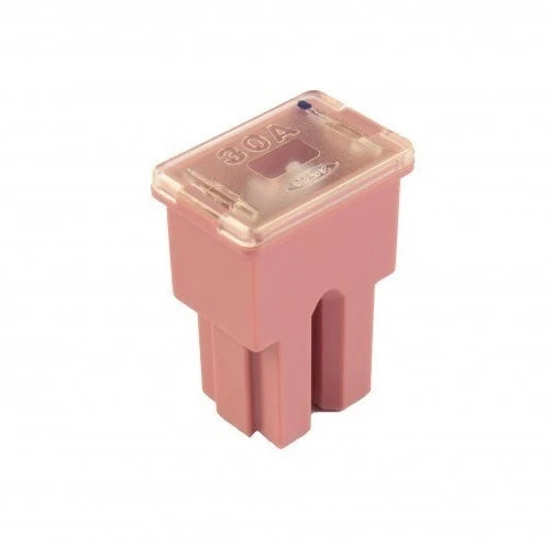 30 Amp Fuse for Flosser 605030 (PAL0 FLF)