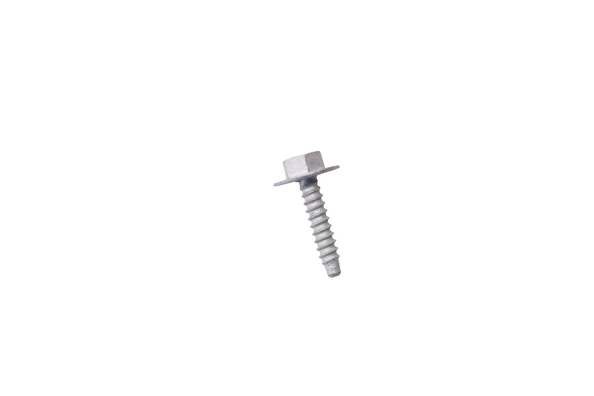 Door Trim Panel Screw for Ford (W704875-S439)