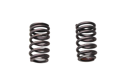 2X Intake Springs for Ford (F5RZ-6513-A)
