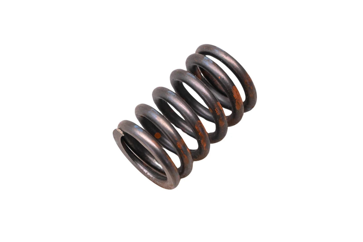 OEM Valve Spring for Ford (E9TZ-6513-A)
