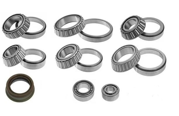 Differential Part for EATON-SPICER DS402 (Replaces DRK-196)