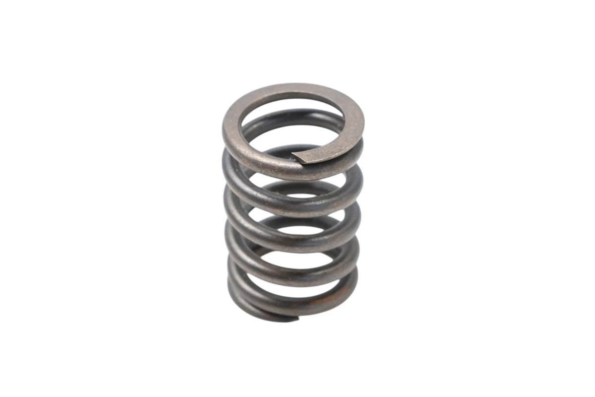 OEM Valve Spring for Ford (E7DZ-6513-A)