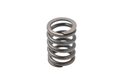 OEM Valve Spring for Ford (E7DZ-6513-A)