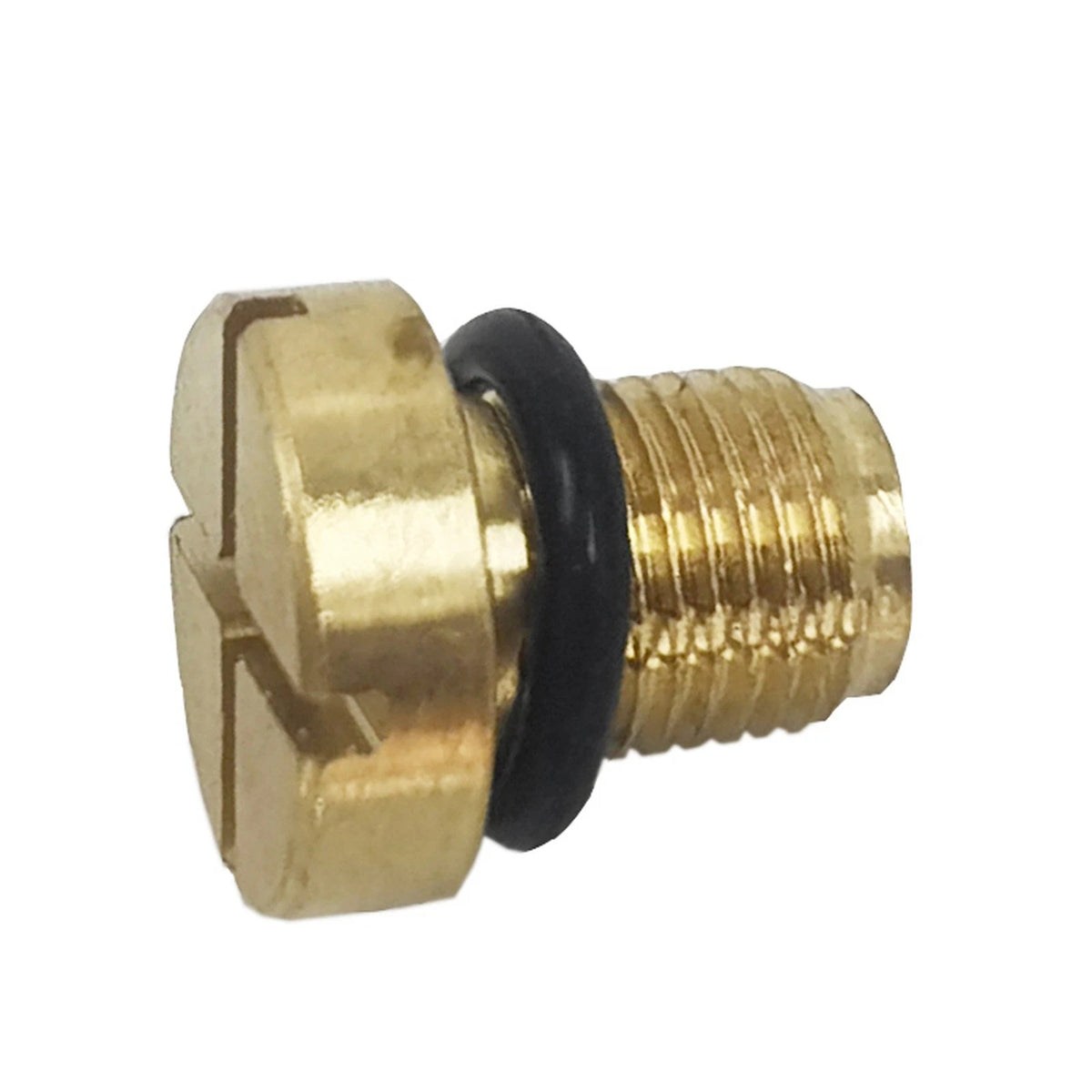 Radiator Expansion Cooling Bottle Tank Screw for BMW (17111712788)