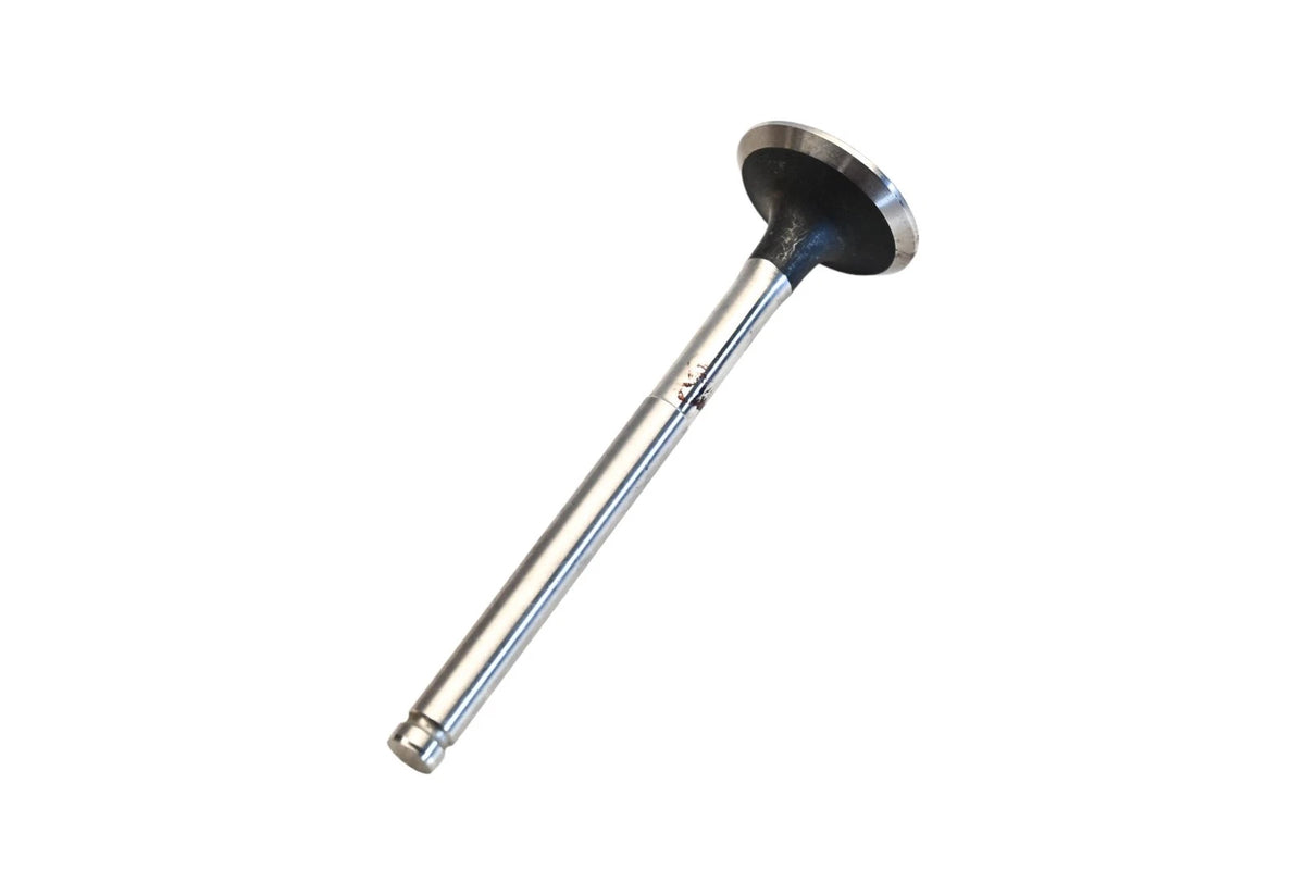 Exhaust Valve for Osvat (021-3282)