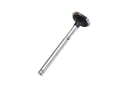 Exhaust Valve for Osvat (021-3282)