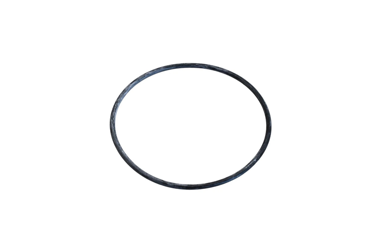 Thermostat Seal for Beck/Arnley (039-0025)