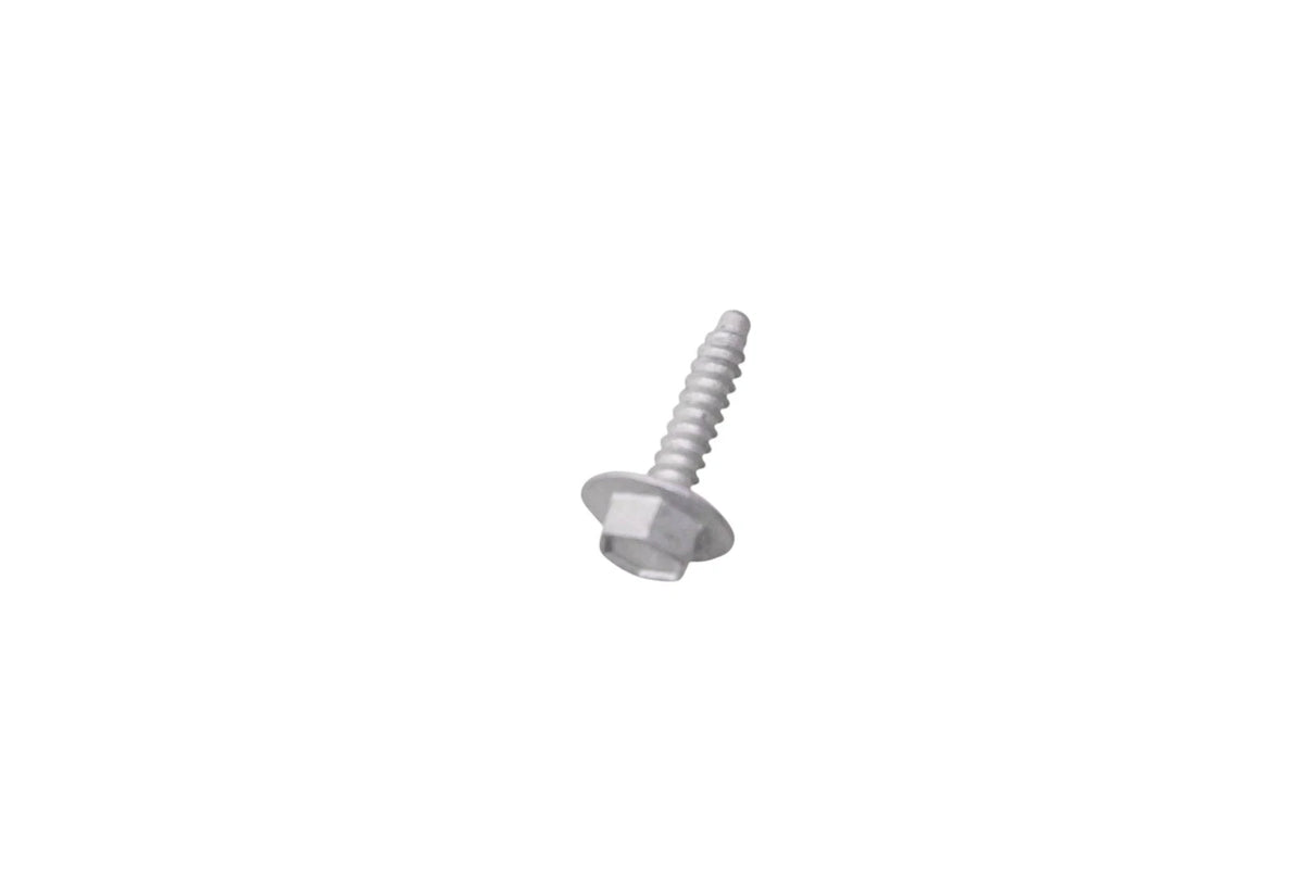 Door Trim Panel Screw for Ford (W704875-S439)