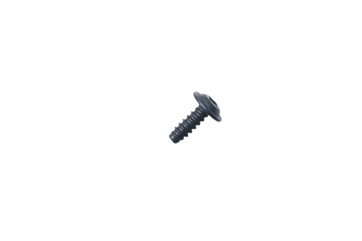 Pull Handle Screw for Ford (W702738-S424)