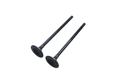 2X SBI 10542 Valves for