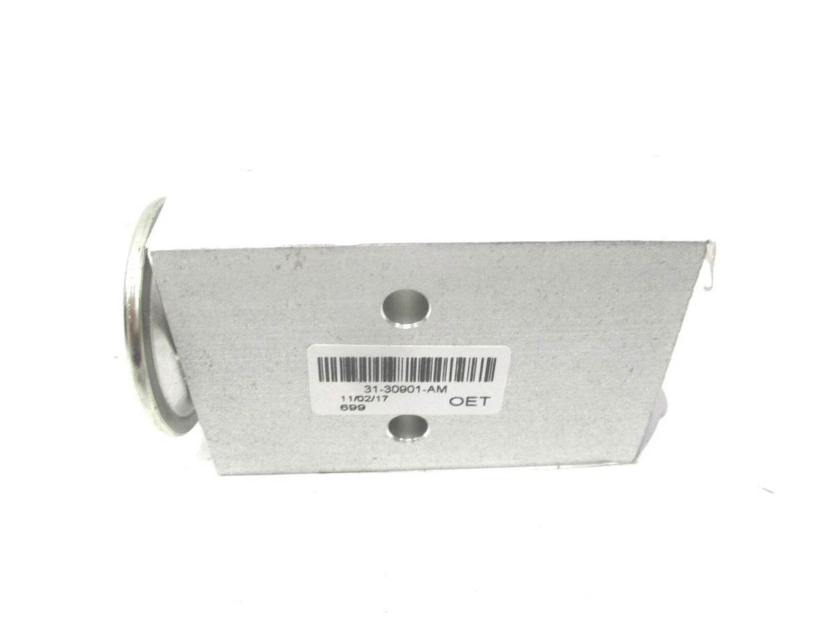 Expansion Valve for International (FLTAC3130901AM, EA1065)