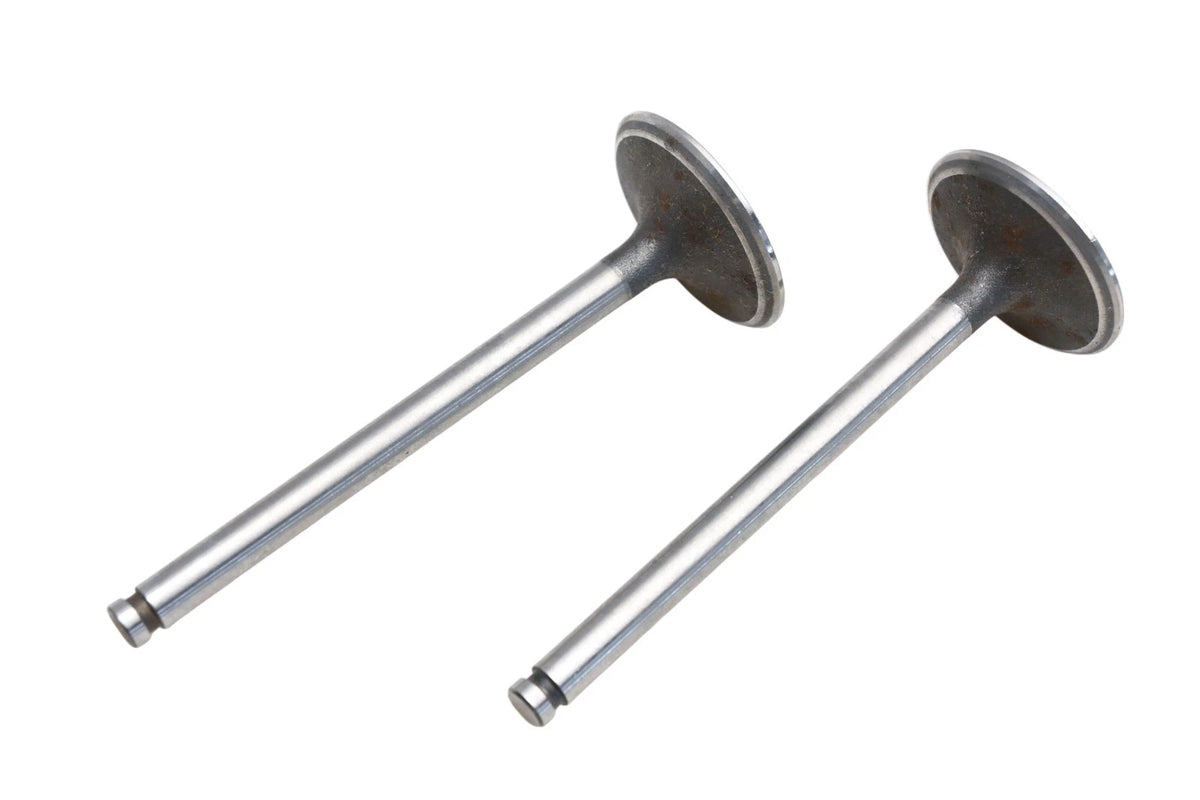 Set of 2 Valves for Freccia 4255694, 1102-12403