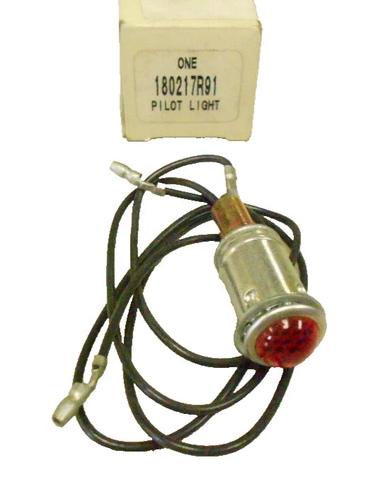 Pilot Light Assembly for International (180217R91)