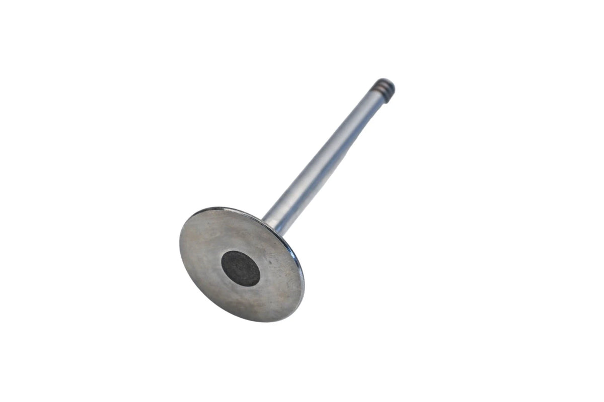 TRW Intake Valve for