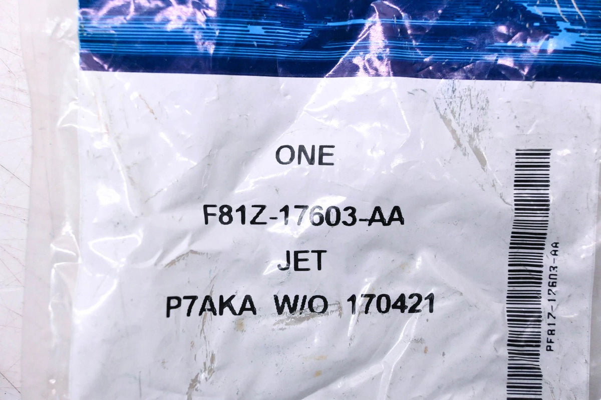 Windshield Washer Spray Jet for Ford (F81Z-17603-AA)