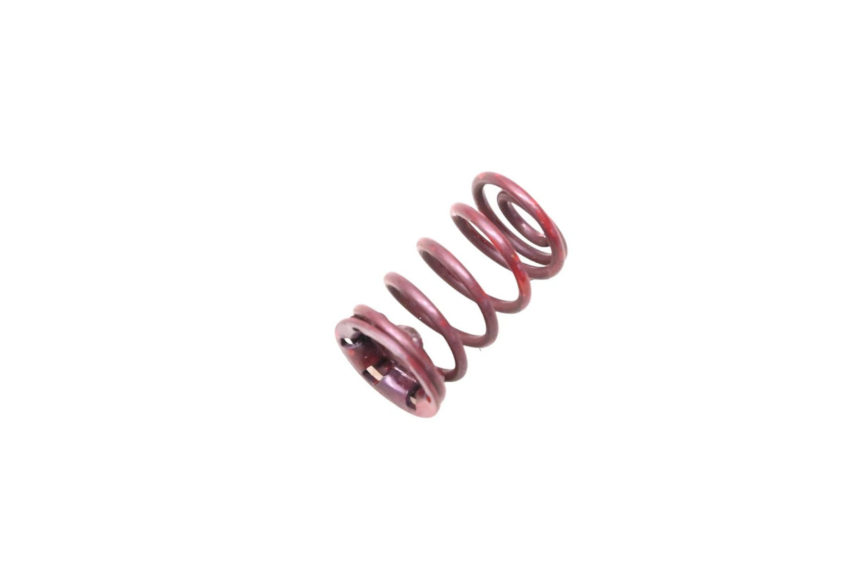 Rear Brake Hold Down Spring for Ford (D9AZ-2068-A)