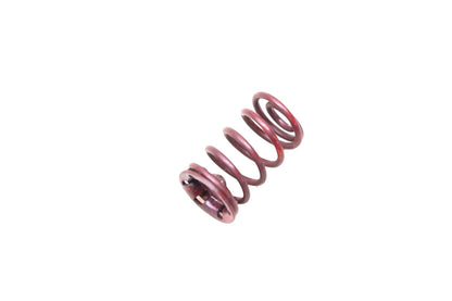 Rear Brake Hold Down Spring for Ford (D9AZ-2068-A)