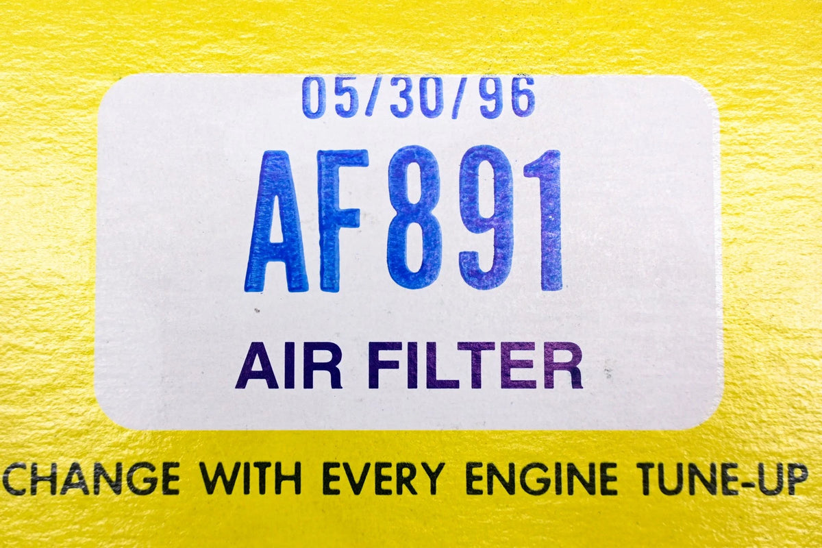 Hastings AF891 Air Filter for Various Makes and Models (NOS)