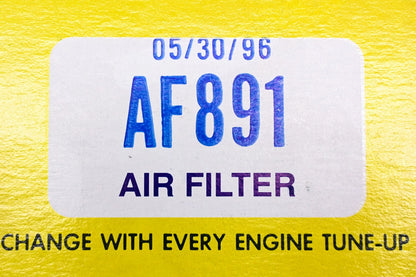 Hastings AF891 Air Filter for Various Makes and Models (NOS)