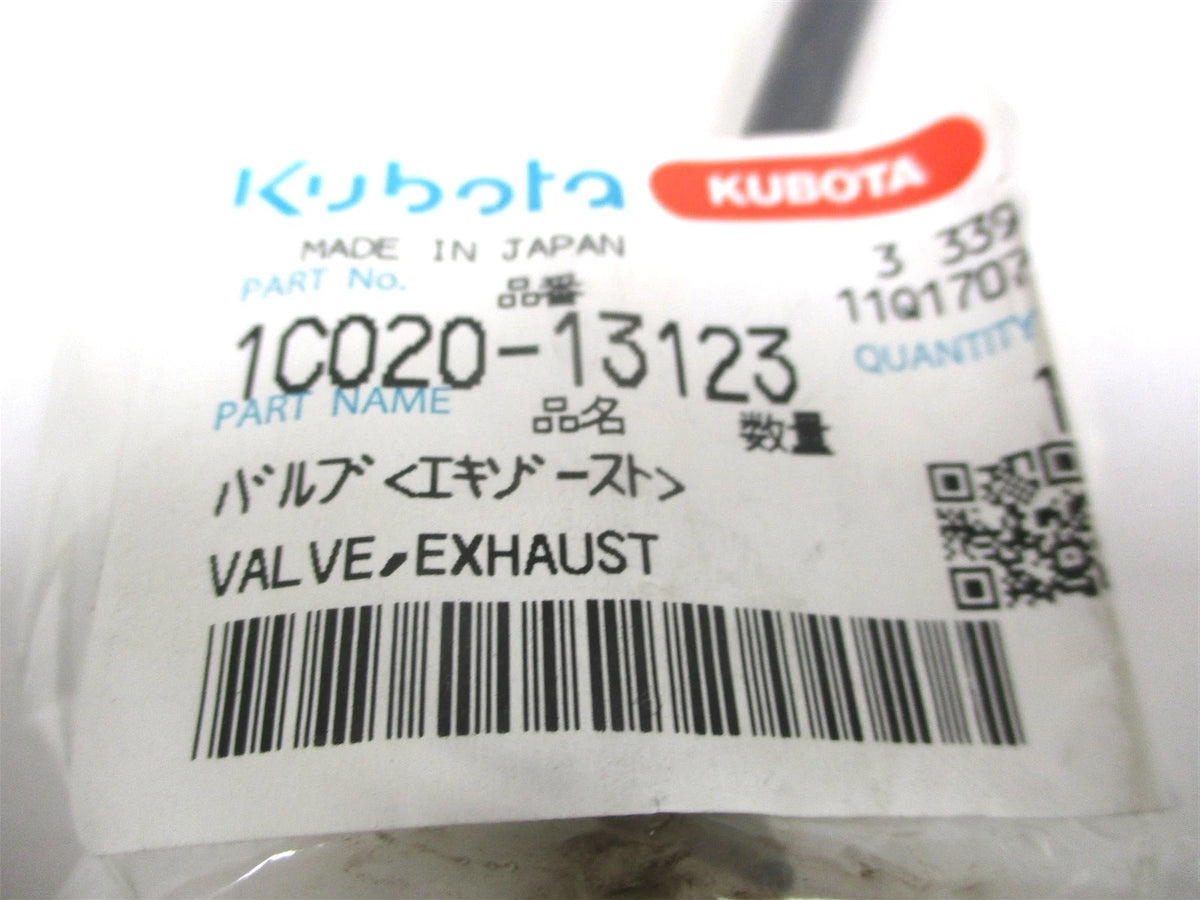 Exhaust Valve for Kubota V3800 V3800DI (1C020-13120, 1C020-13123, 1C020-13124)
