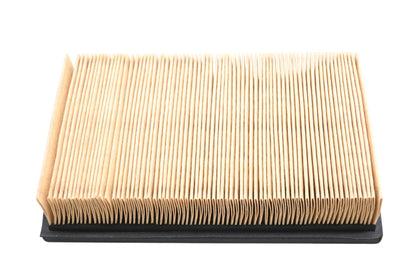 Hastings AF842 Air Filter for