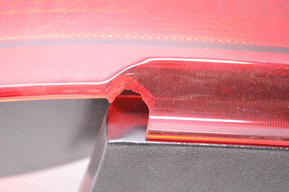 OEM Tail Lamp Assembly for Ford (F3DZ13404A)