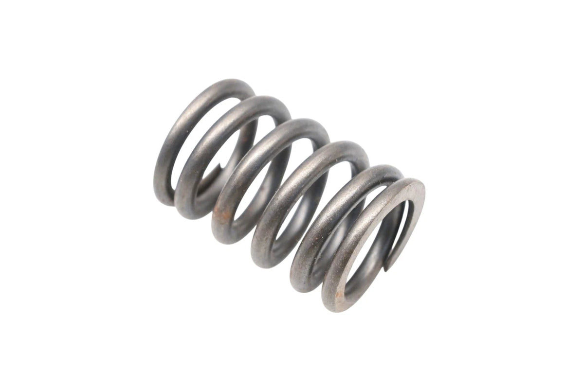 OEM Valve Spring for Ford (E7DZ-6513-A)
