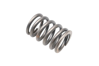 OEM Valve Spring for Ford (E7DZ-6513-A)
