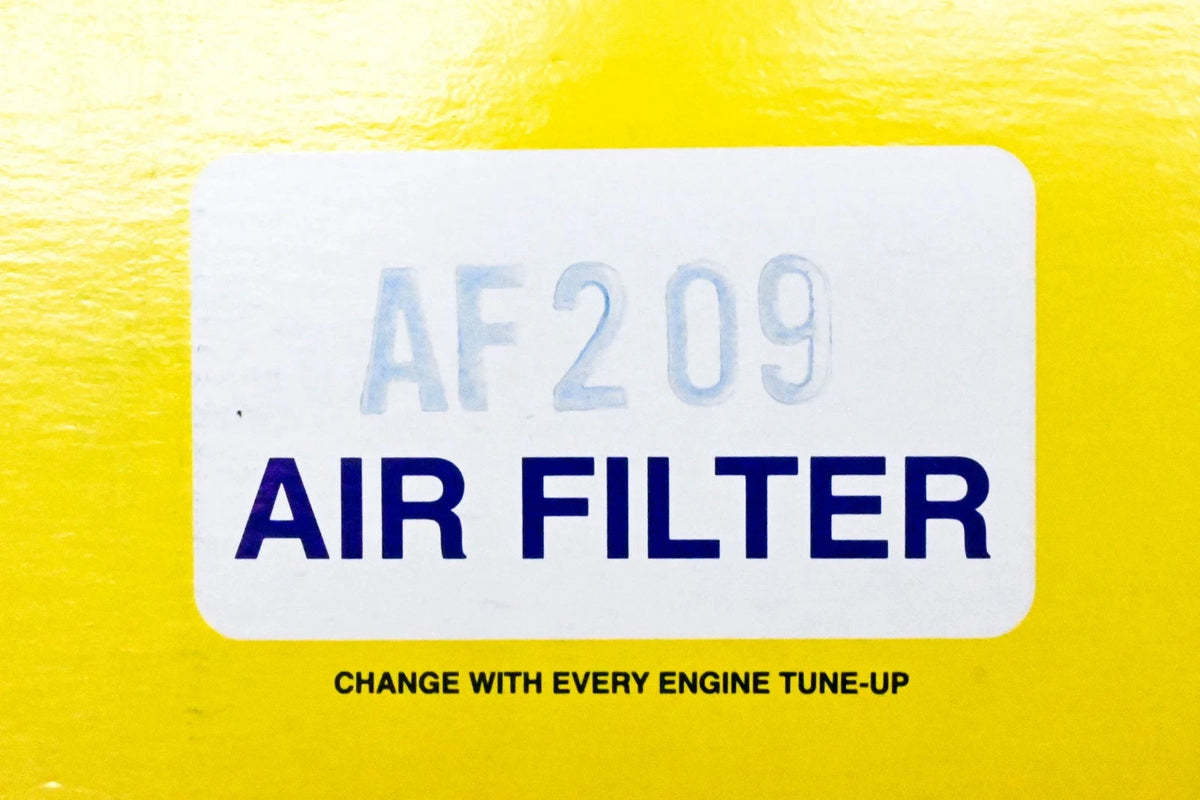 Hastings AF209 Air Filter for